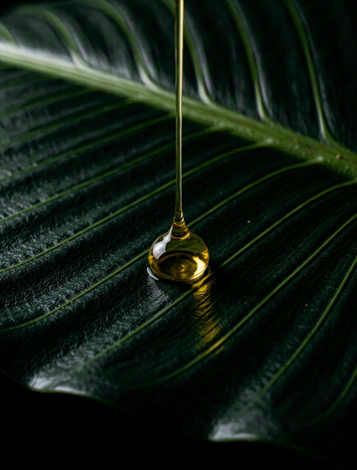 Botanical integrity