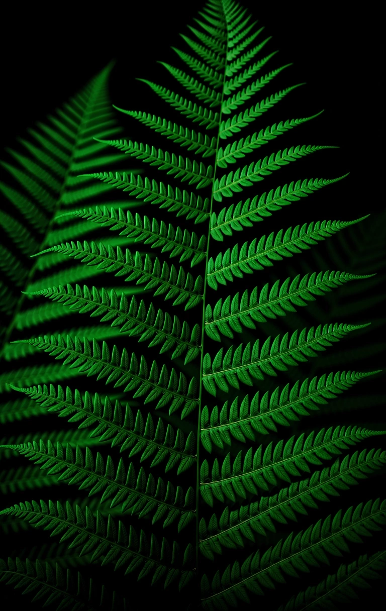 Botanical textures